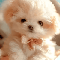 Plush Toy Interactive Dog Realistic Moving Soft Puppy - Oracle Gifts